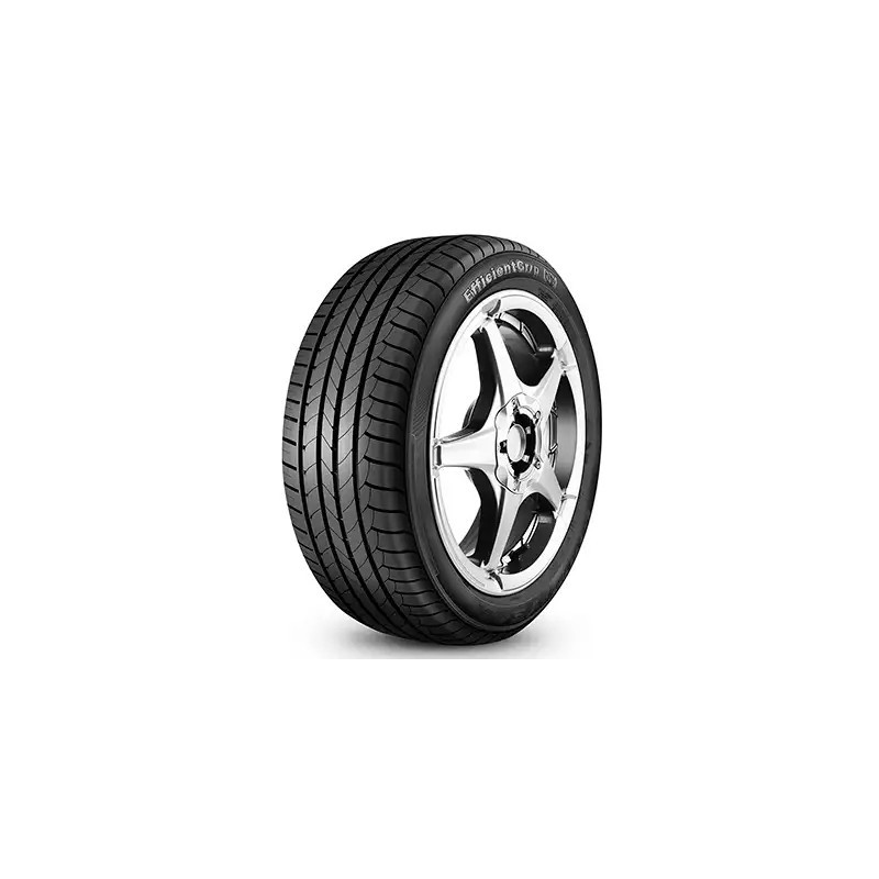 Neumaticos 205/60 R16 Goodyear Efficientgrip (Rft) | mtc.cl