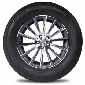 225/50 R17 BRIDGESTONE S001