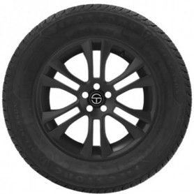 225/45 R19 BRIDGESTONE T001